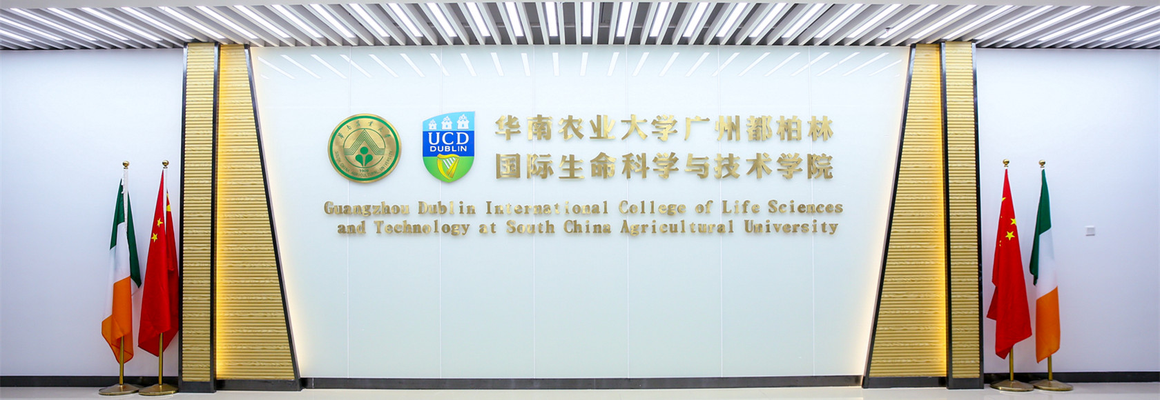 <a href='/2020/0707/c11211a244430/page.htm' target='_blank' title='轮播1'>轮播1</a>