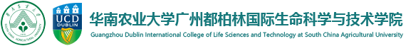 bv伟德源自英国始于1946